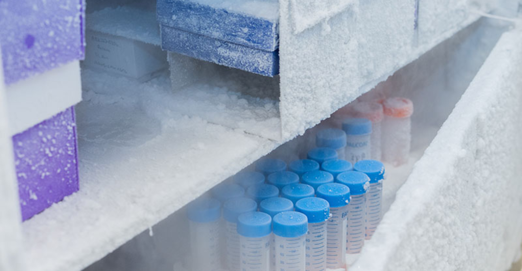 Resistor Sensor for Vaccine Transport