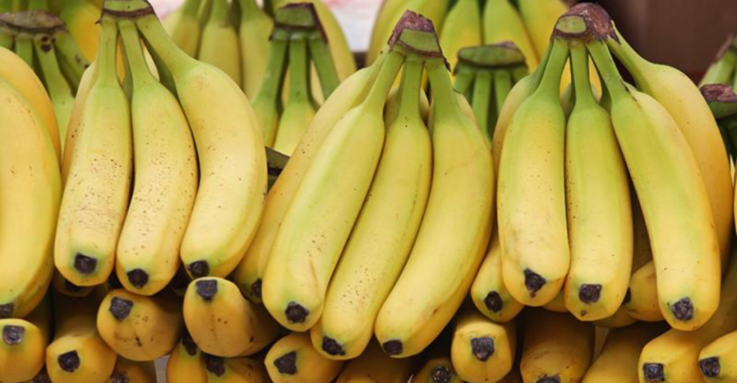 Temperature sensor for fresh produce