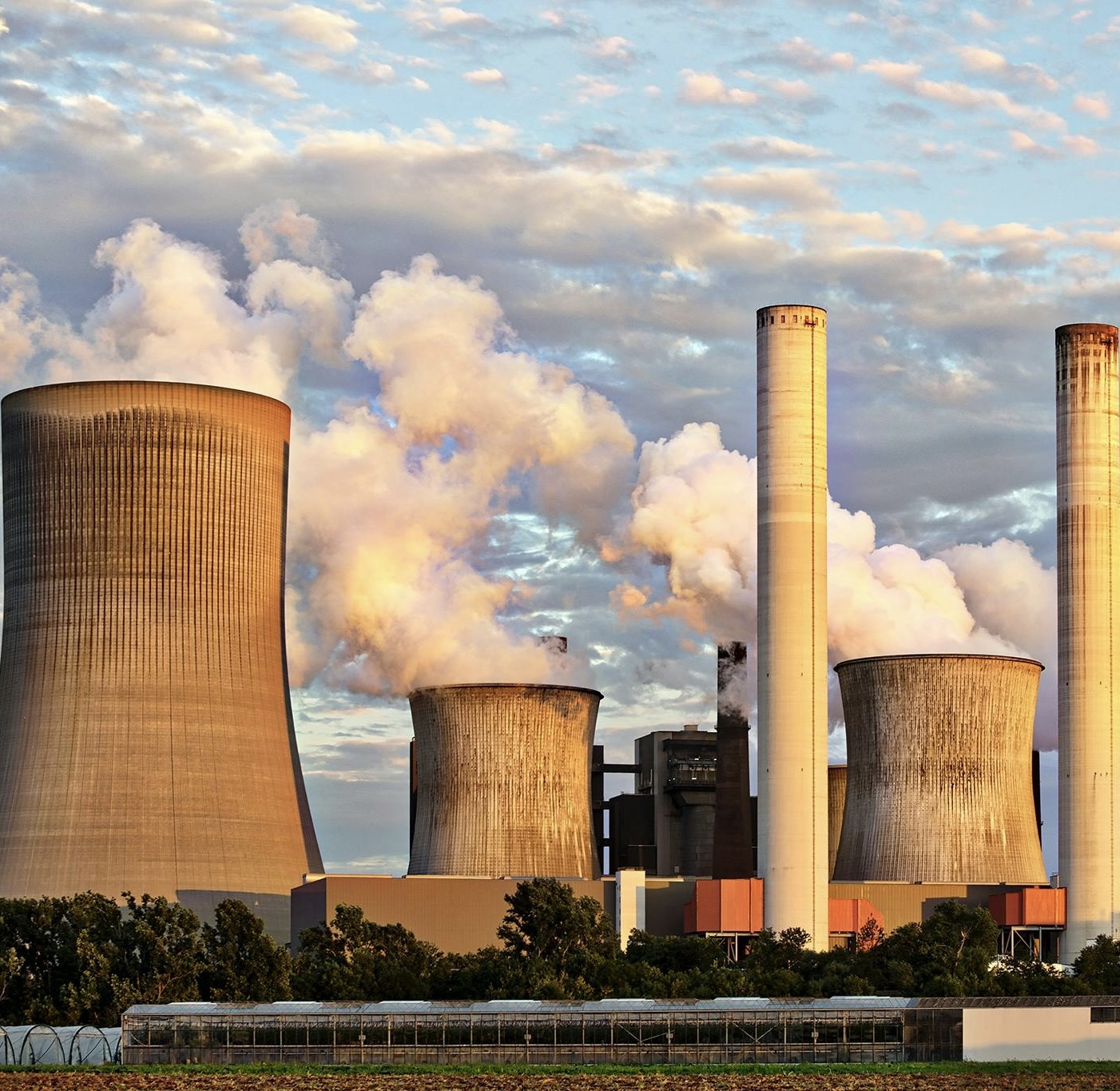 Giới thiệu về Yamari Việt Nam