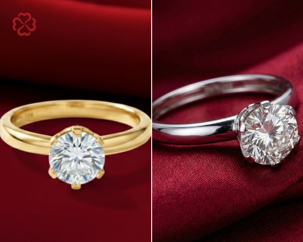 Hình ảnh bài viết