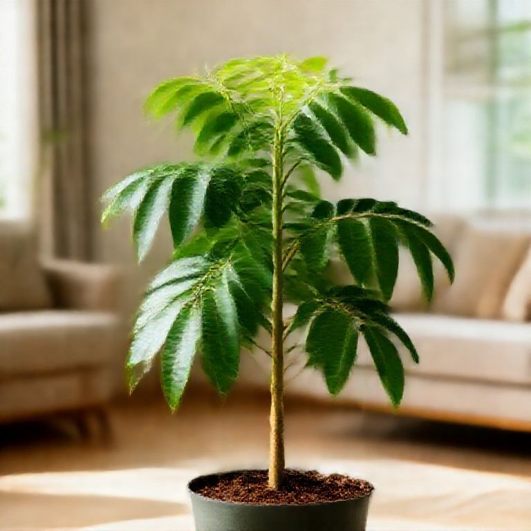 Kỹ Thuật Chuyên Sâu Trồng Và Chăm Sóc Cây Xoài Giống: Từ Gieo Trồng Đến Thu Hoạch