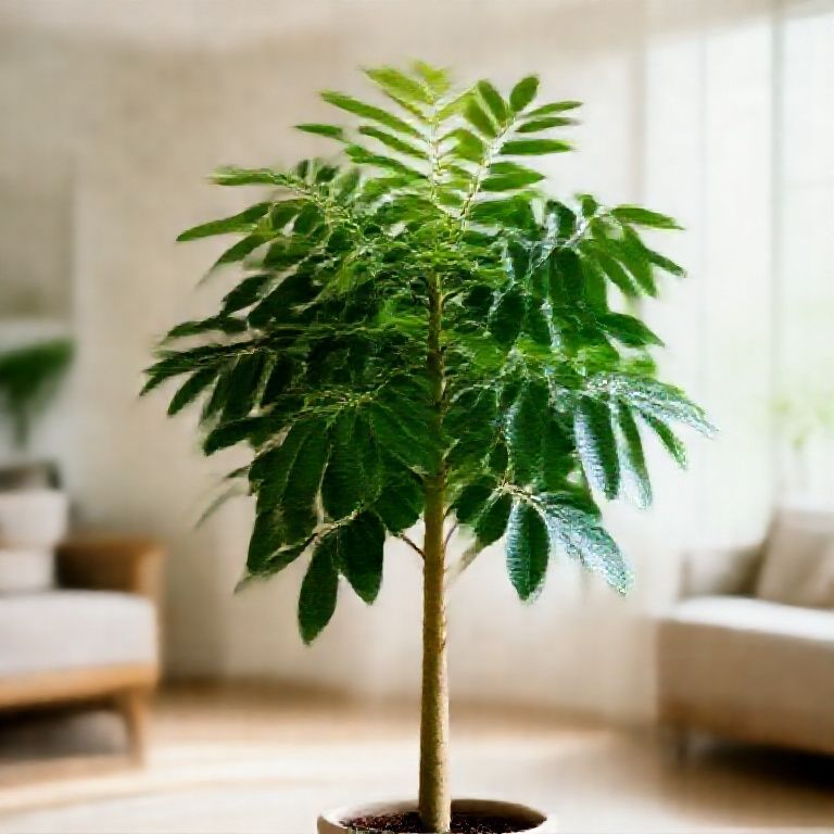 Cây Sầu Riêng Giống: Bí Quyết Đón Tài Lộc, May Mắn Với Nghệ Thuật Phong Thủy