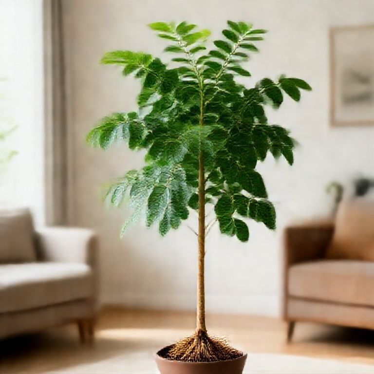 Kỹ Thuật Chuyên Sâu Trồng Và Chăm Sóc Cây Ổi Giống Cho Năng Suất Vượt Trội