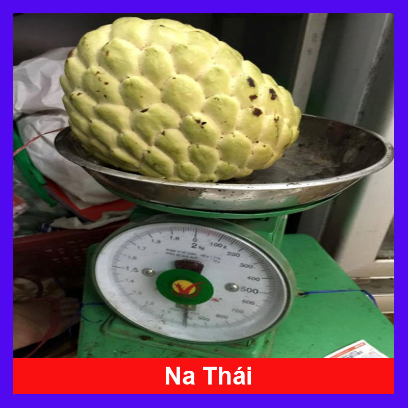 Cây Mãng Cầu Na Thái
