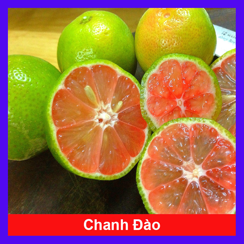Cây Chanh Hồng Đào