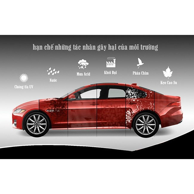Bạt Phủ Nóc ô tô