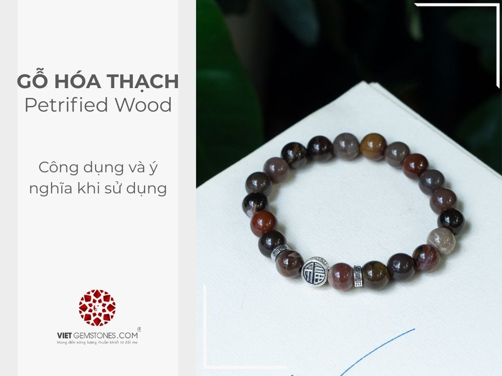 Gỗ hóa thạch - công dụng và ý nghĩa khi sử dụng