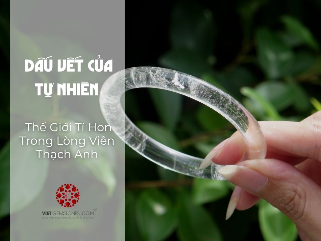 THẾ GIỚI TÍ HON TRONG LÒNG VIÊN THẠCH ANH