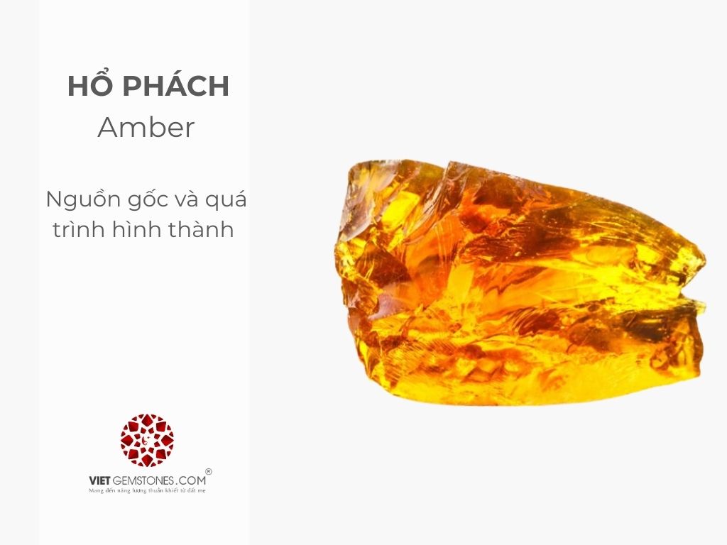 Nguồn gốc và quá trình hình thành Hổ Phách