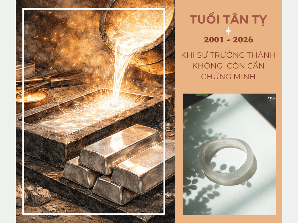 TÂN TỴ 2001 năm 2026: Khi sự trưởng thành không còn cần chứng minh