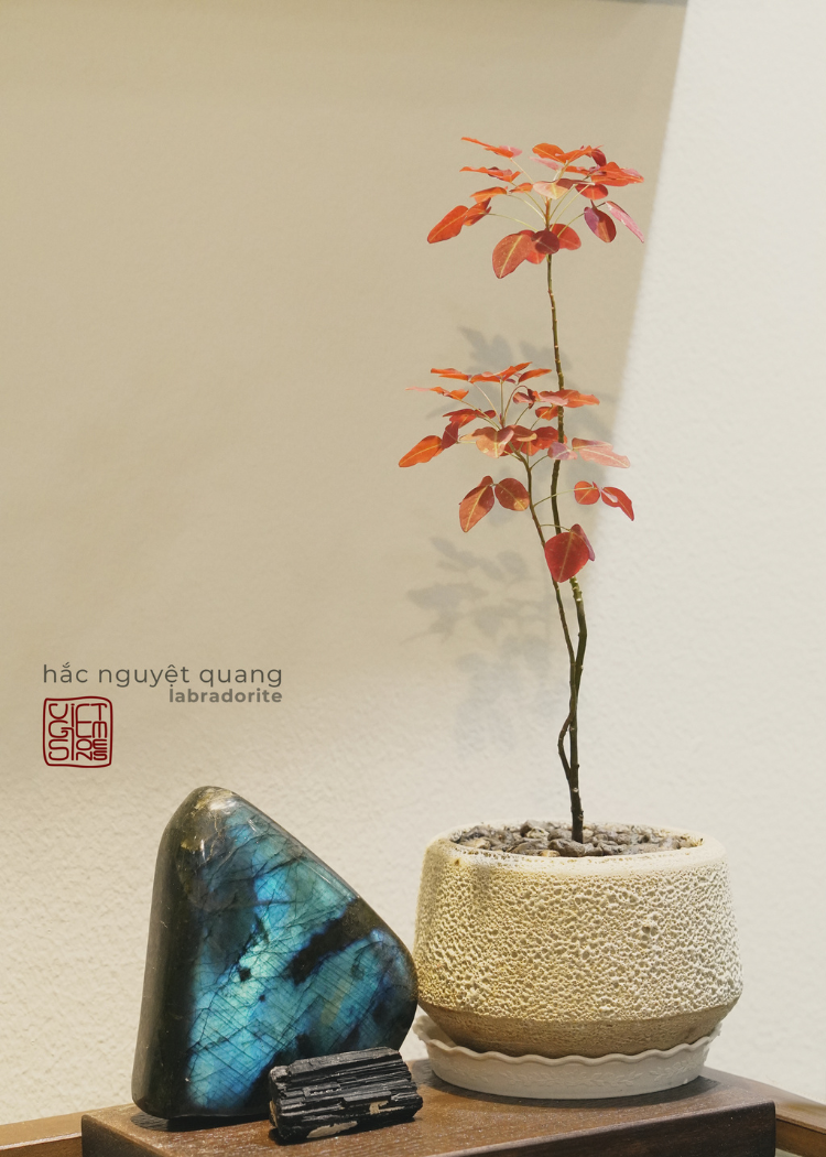 Vật phẩm phong thủy