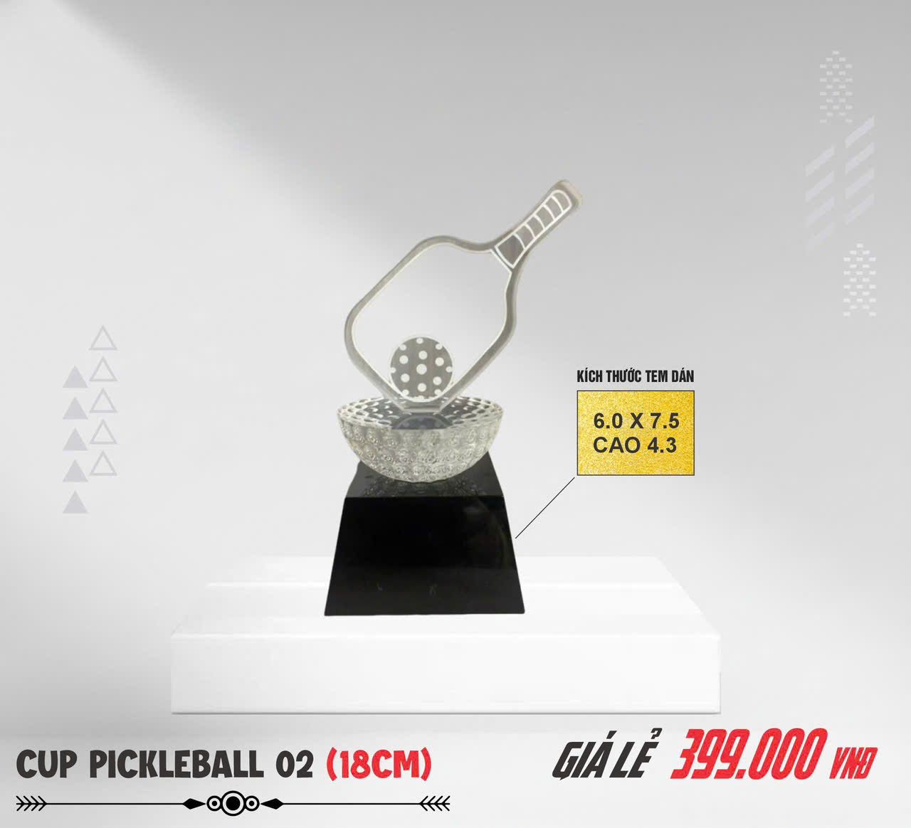 Cúp Pickleball 02