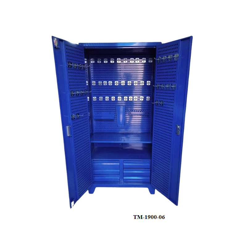 Tủ treo dụng cụ 2 cánh 6 ngăn TM-1900-6