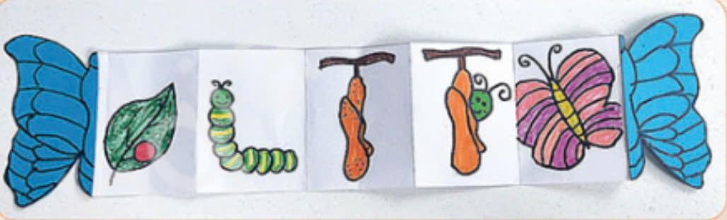 Cuốn sách xếp mô tả cuộc đời của bướm – Học liệu thực hành STEM