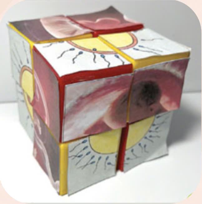 Bộ ghép hình từ các khối lập phương – Học liệu thực hành STEM