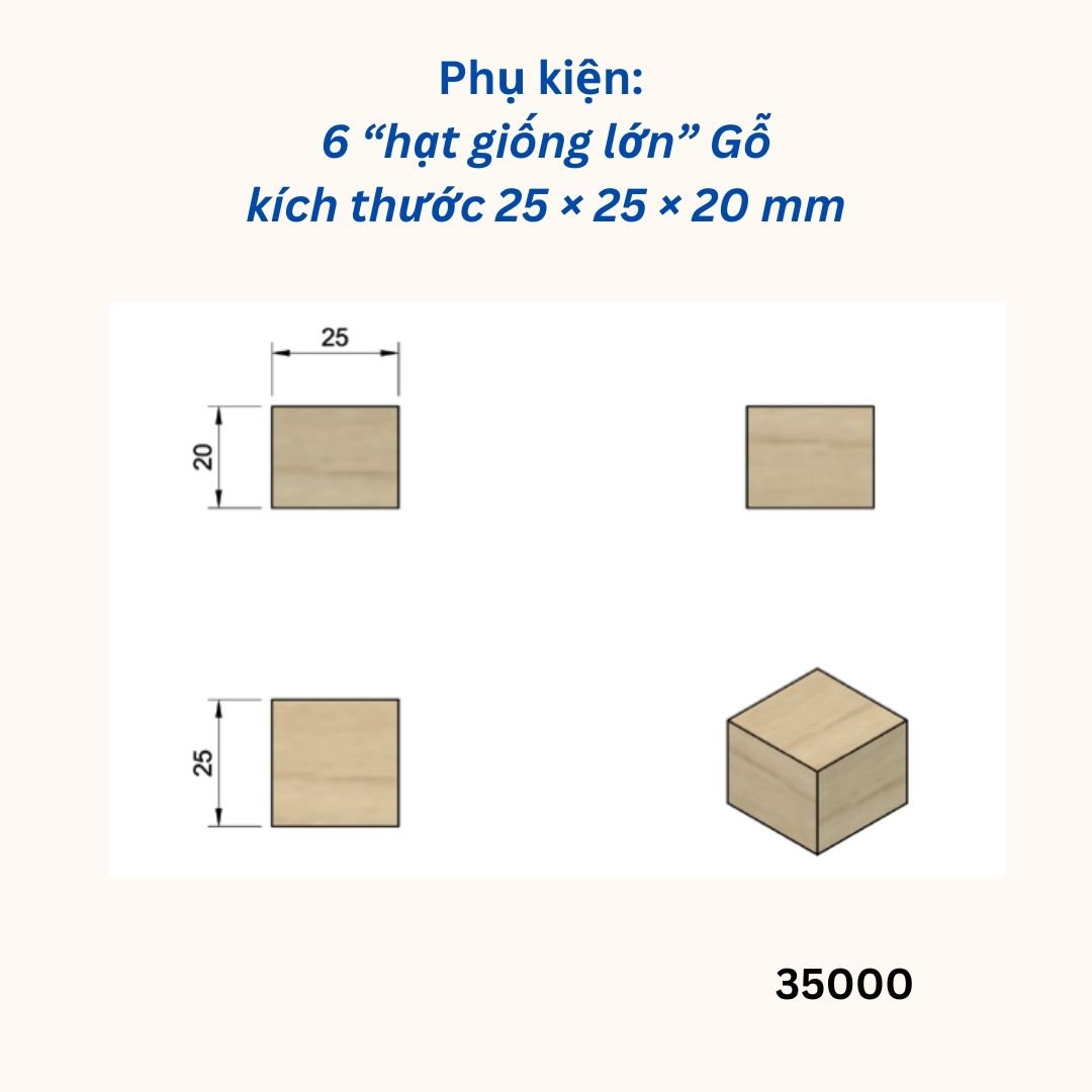 Set hạt giống khối gỗ