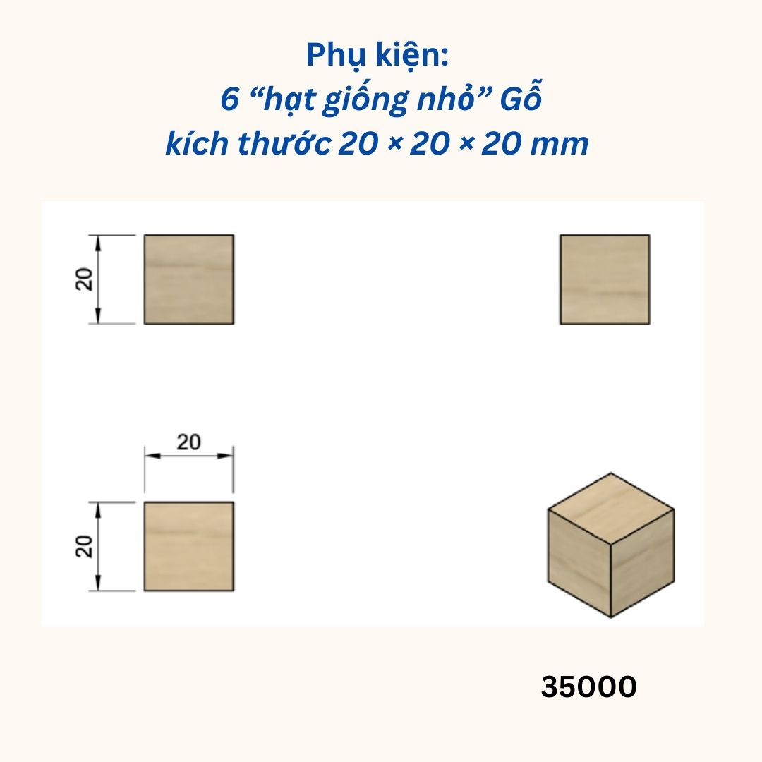 Set hạt giống khối gỗ