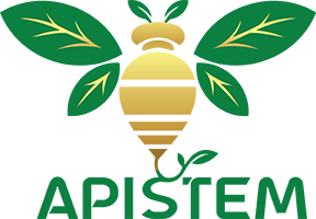 Apistem