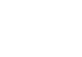 Apistem