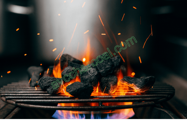 Charcoal Solutions for Outdoor Cooking and Camping