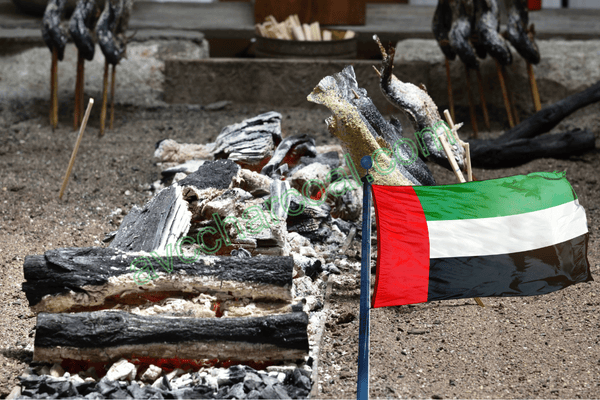 Why UAE Highly Favors Vietnamese Charcoal?