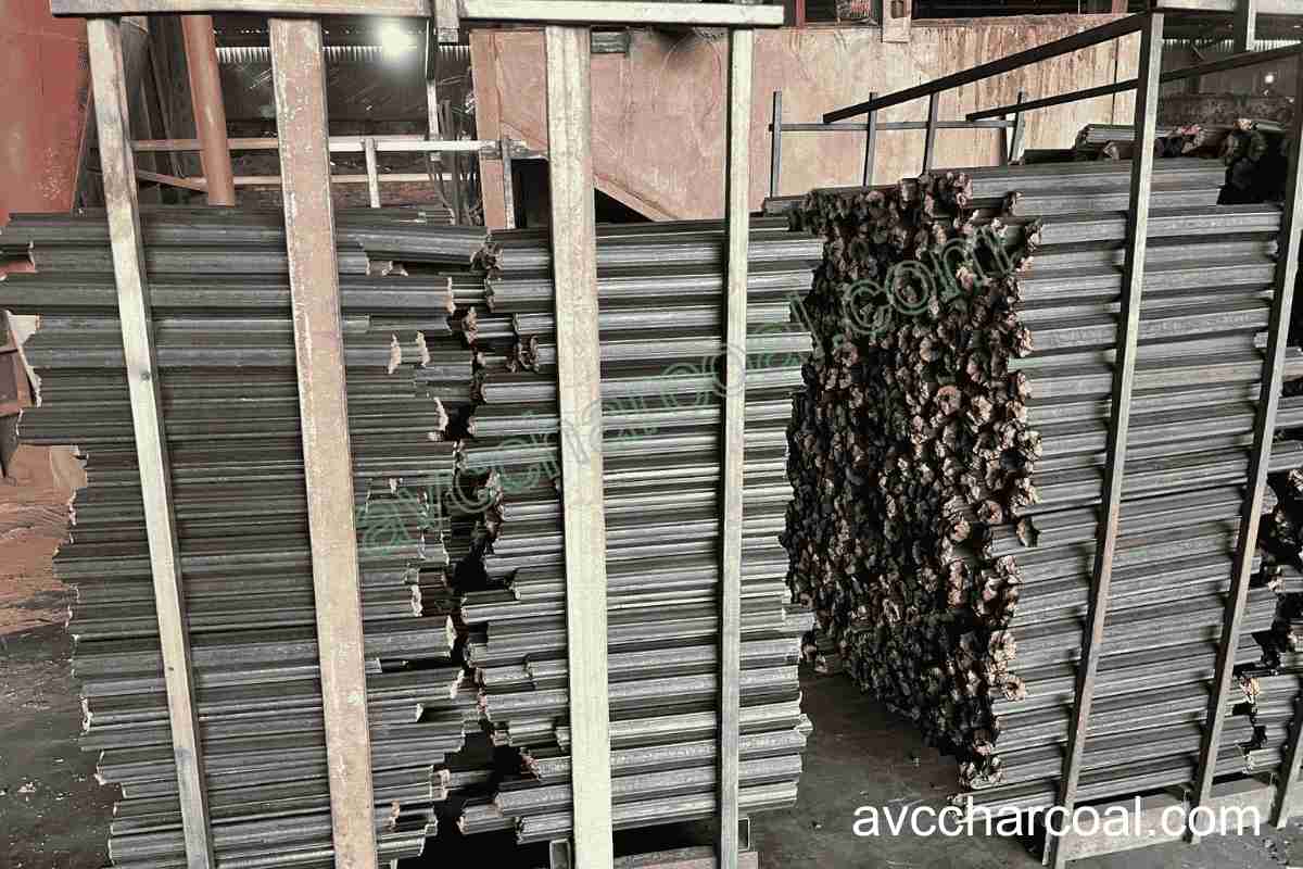 Canada briquette charcoal market trends and buyer preferences for 2026