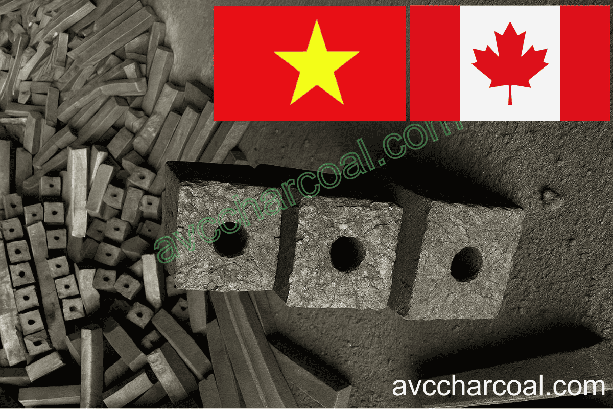 Vietnam and Canada charcoal trade overview and opportunities 2026