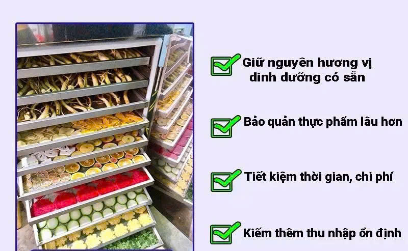Tủ sấy nông sản
