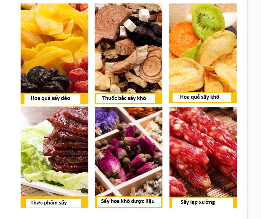 Tủ sấy thực phẩm 10 khay