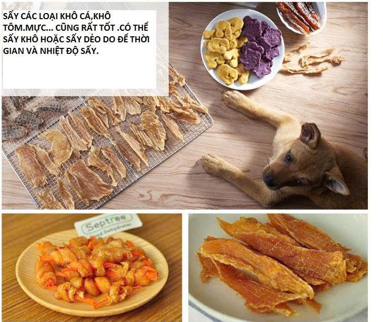 Tủ sấy thực phẩm 16 khay