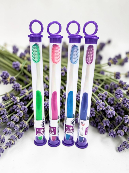 Bàn Chải Đánh Răng HT8049 - Hộp 50 cây (Ống PET) - TOOTHBRUSH