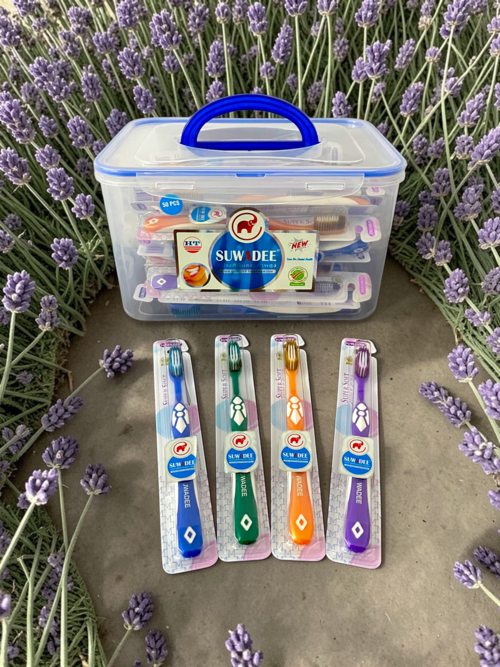 Bàn Chải Đánh Răng HT8050  - 50 VỈ TOOTHBRUSH