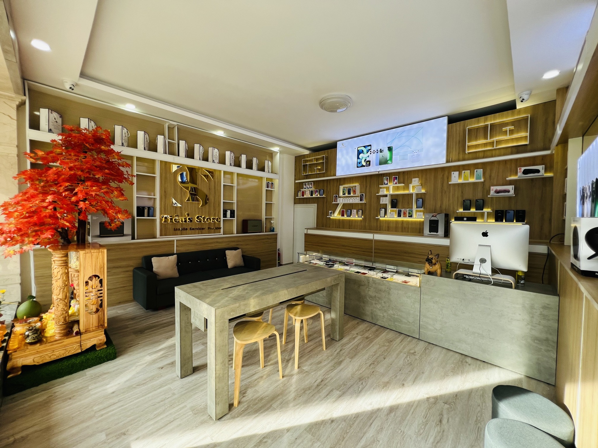 TÓM TẮT TIỂU SỬ VỀ TIÊU STORE