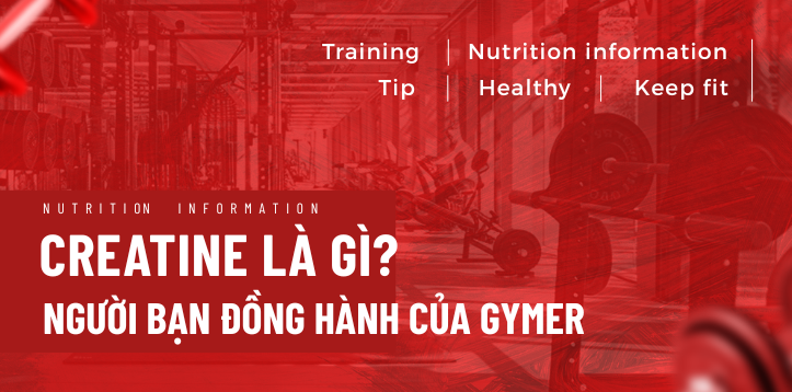 CREATINE – NGƯỜI BẠN ĐỒNG HÀNH GYMER