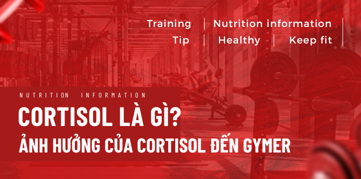 KIỂM SOÁT CORTISOL - NÂNG CAO HIỆU SUẤT TẬP LUYỆN