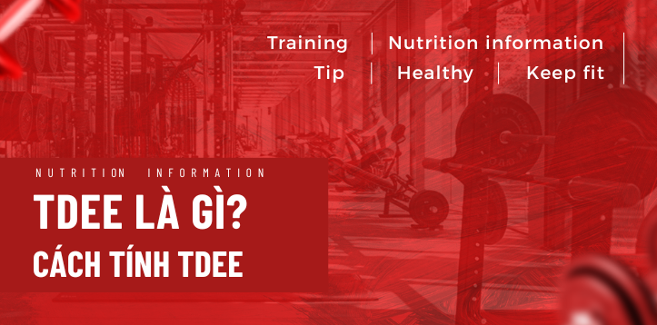 TDEE LÀ GÌ ? CÁCH TÍNH TDEE TẠI NHÀ