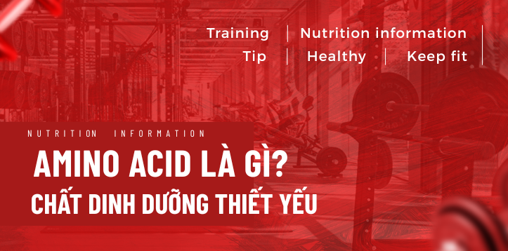 AMINO ACID- CHẤT DINH DƯỠNG THIẾT YẾU