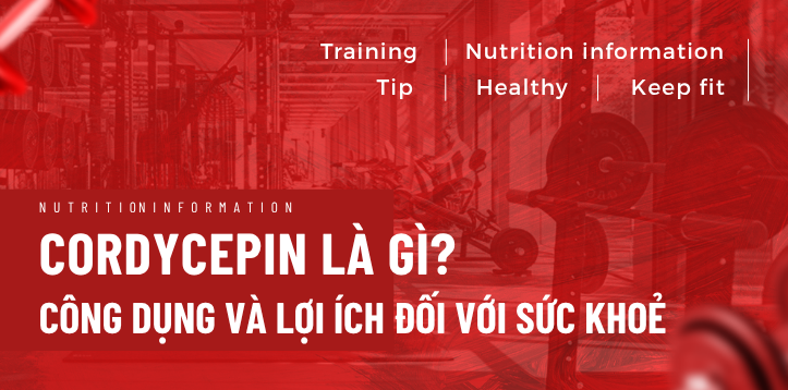 CORDYCEPIN LÀ GÌ? CÔNG DỤNG VÀ LỢI ÍCH ĐỐI VỚI SỨC KHOẺ