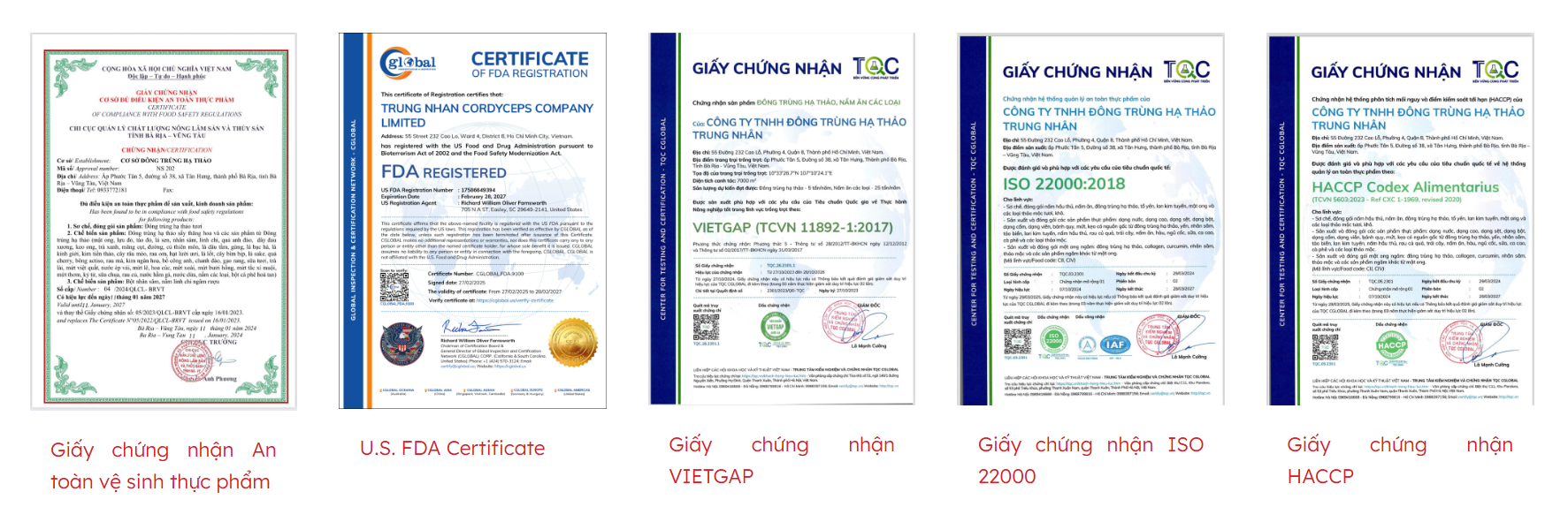 giấy chứng nhận cordy protein 80 +