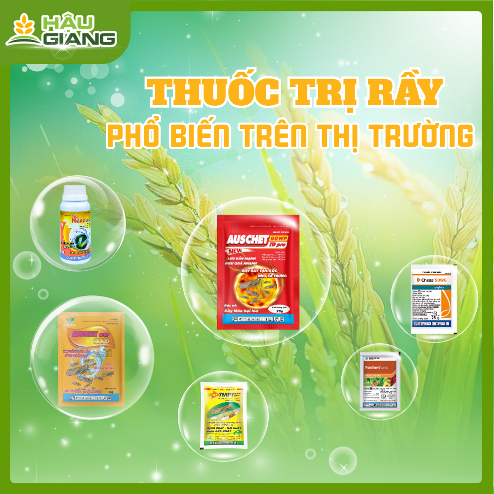 Các Loại Thuốc Trừ Rầy Nâu Trên Thị Trường