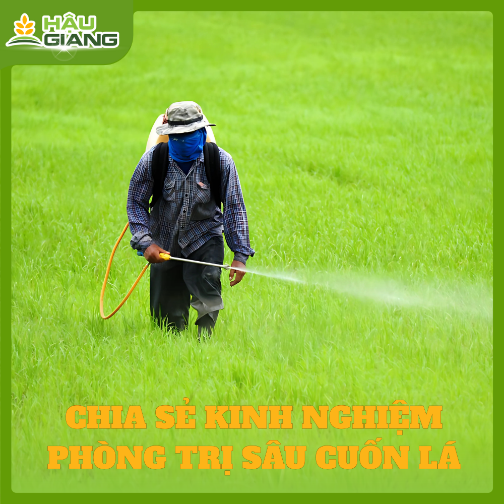 Chia Sẻ Kinh Nghiệm Thực Tế Về Phương Pháp Phòng Trừ Sâu