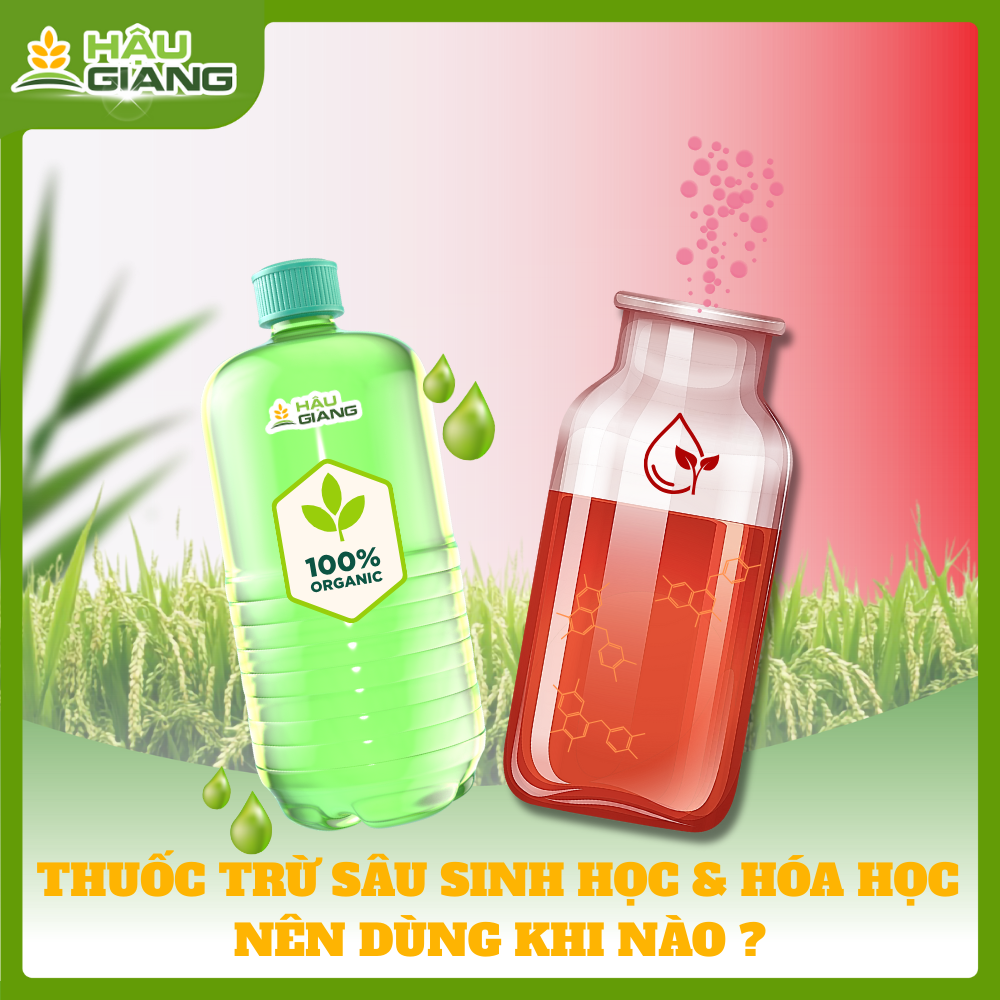 Chọn Thuốc BVTV Gốc Sinh Học Hay Gốc Hóa Học ?