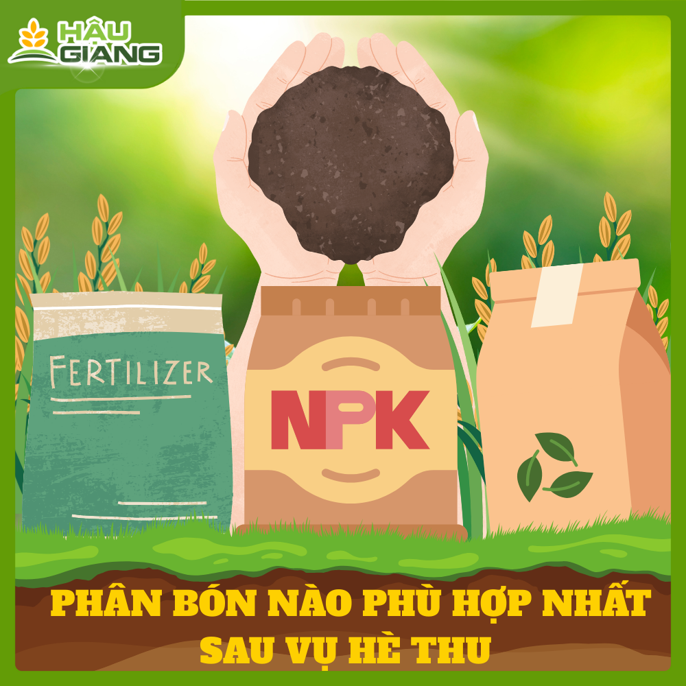 Phân Bón Nào Tốt Cho Đất