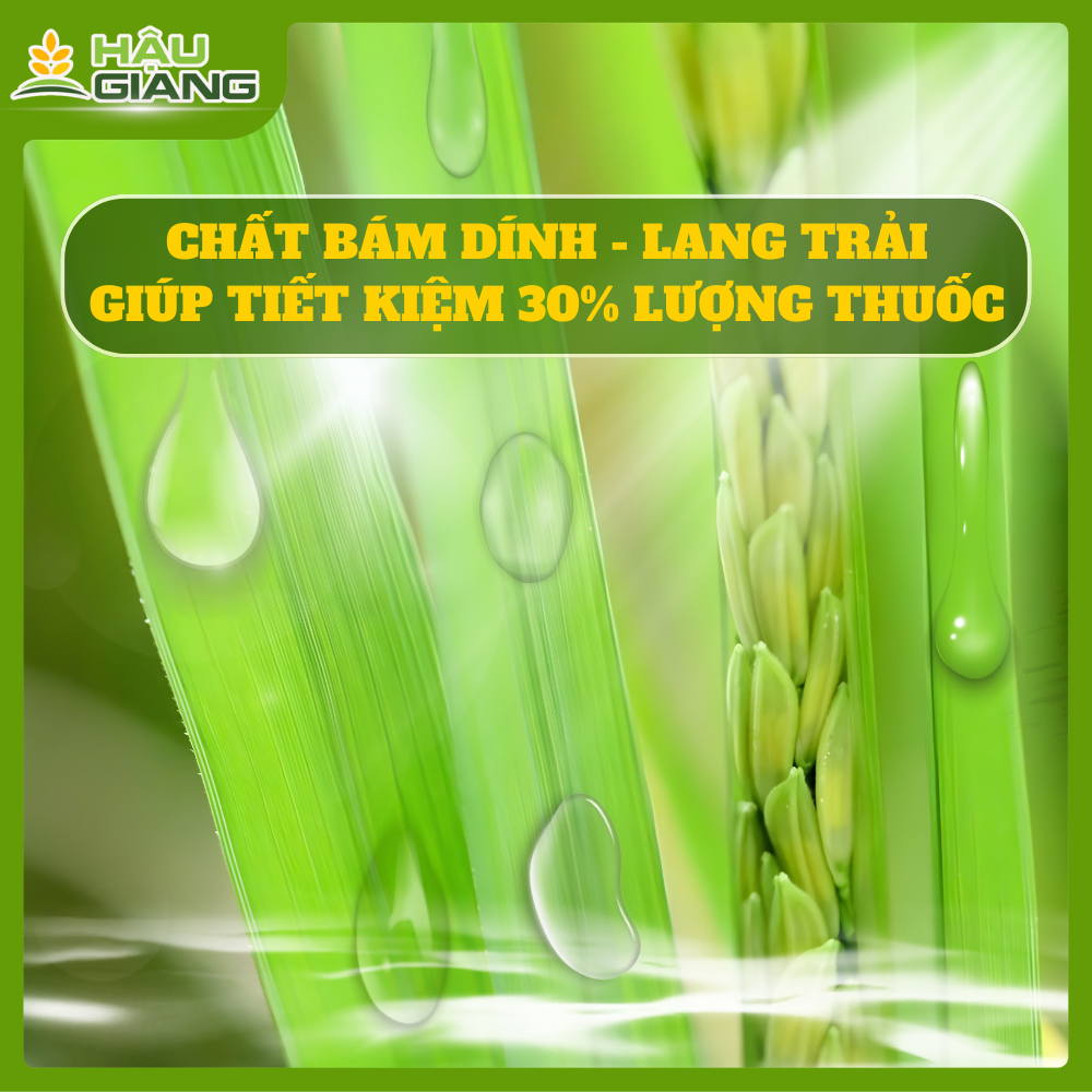 Lợi Ích Từ Việc Sử Dụng Chất Bám Dính