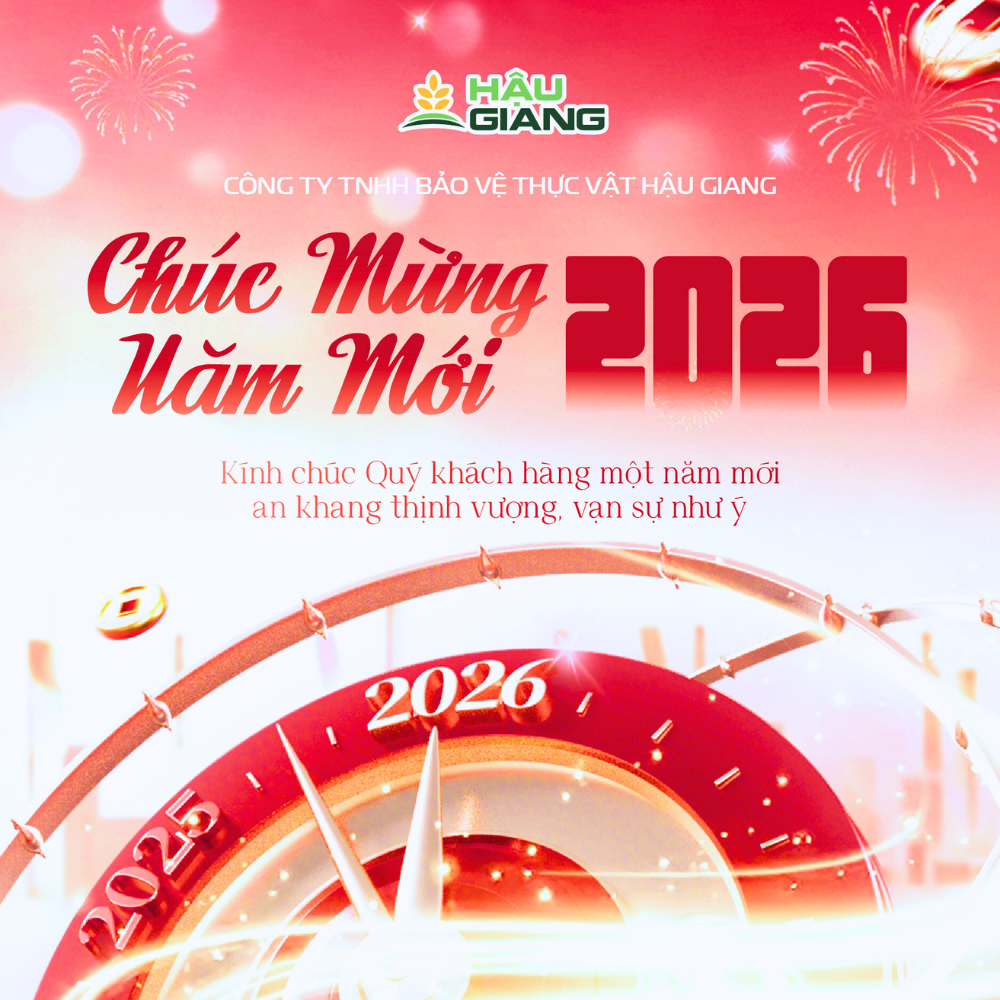 Chúc Mừng Năm Mới Xuân Bính Ngọ 2026
