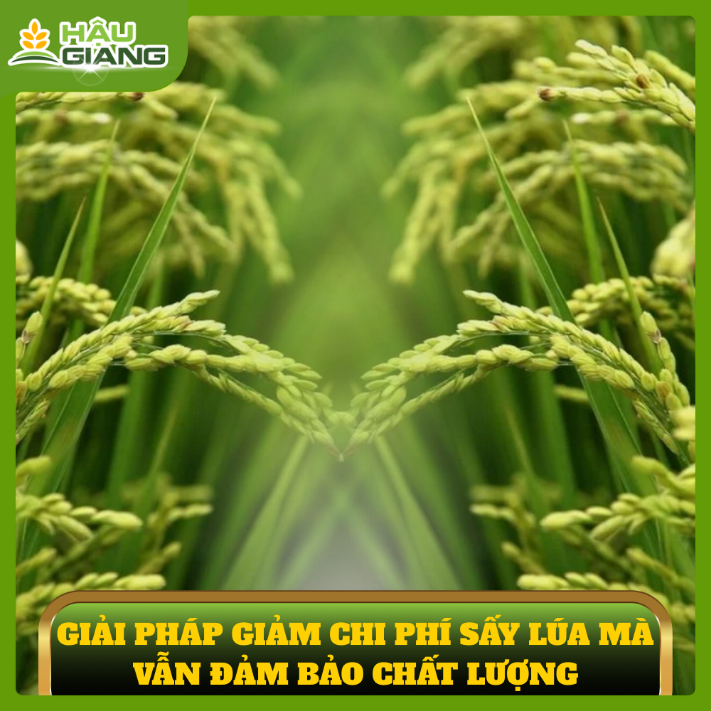 Gi ảm Thiểu Chi Phí Sản Xuất