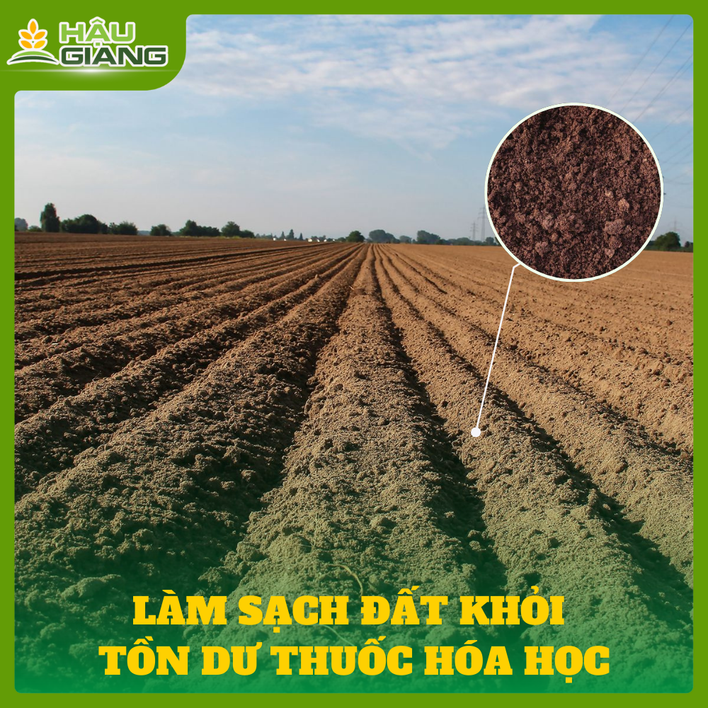 Làm Sạch Đất Khỏi Tồn Dư Thuốc Hóa Học - Bước Chuyển Từ Canh Tác Hóa Học Sang Sinh Học