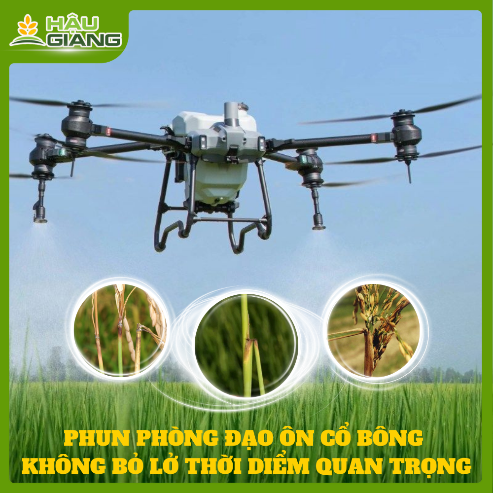 Phun Phòng Đạo Ôn Cổ Bông: Không Bỏ Lỡ Thời Điểm Quan Trọng