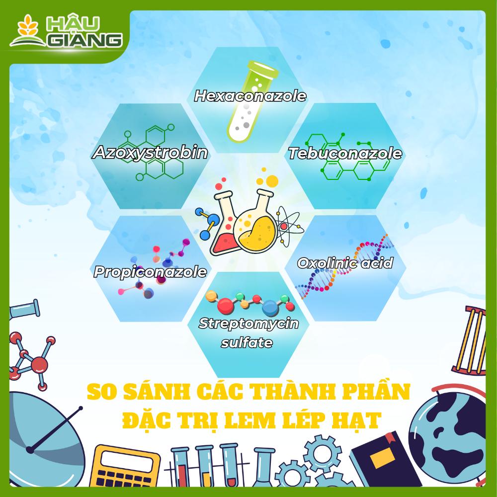 Phòng Và Trị Bệnh Lem Lép Hạt Trên Lúa - Giải Pháp Từ Các Sản Phẩm Của BVTV Hậu Giang