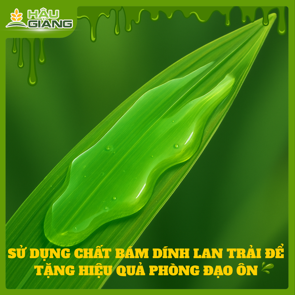 Sử Dụng Chất Bám Dính Để Tăng Hiệu Qủa Phòng Đạo Ôn